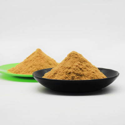 CAS No .10028-22-5 Polyferric sulfatieren PFS für Wasser Dephosphorization