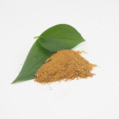 Pac-Polyaluminiumchlorverbindung in der Abwasserbehandlung